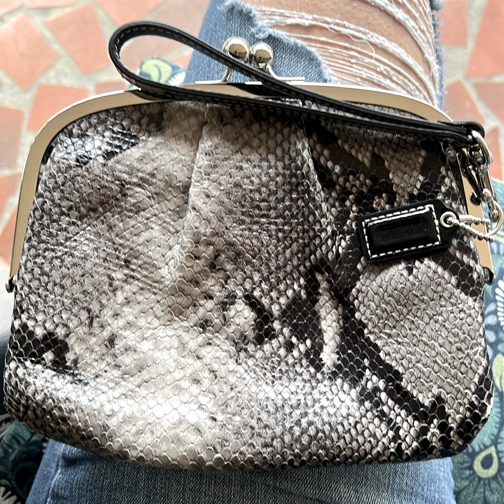 Coach Black and Gray Python with Silver hardware!